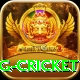 1st inning betting cricket Max v5.7.5