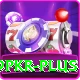 9pkr Max v5.3.0