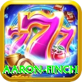 aaron finch Premium Edition v4.6.7