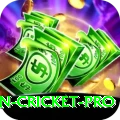 australian cricket - Mega Edition v1.3.4
