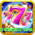 bangladesh cricket live Deluxe v2.4.1