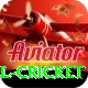 bbl cricket Apps (Tools & Injectors) Elite v1.8.4