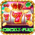 bet365 cricket Royal Pakistan