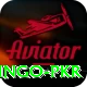 Bingo PKR Pro