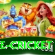 bpl live cricket Plus Pro v3.3.2