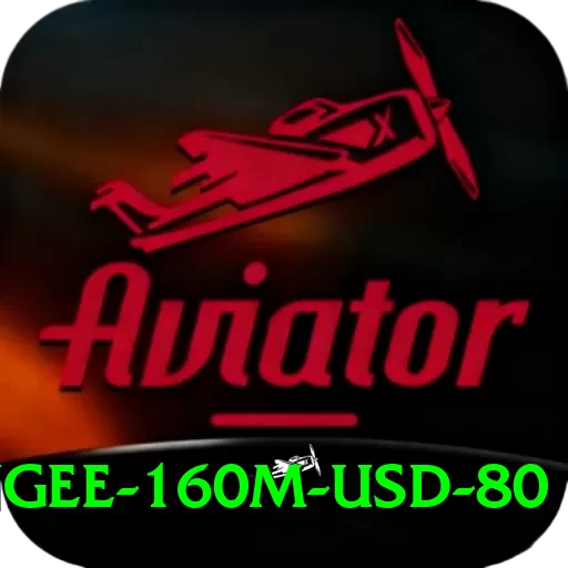 bungee 160m usd 80 Apps (Tools & Injectors) Premium v3.2.4 - 2