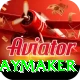 cam playmaker Premium Plus v1.9.6
