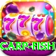 carp fish Master Pro v4.9.6