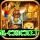 century predictor cricket VIP v5.1.0