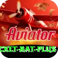 cricket bat Champion APK v3.4.6