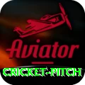 cricket pitch Games (Casino & Earning) Pro v1.3.9