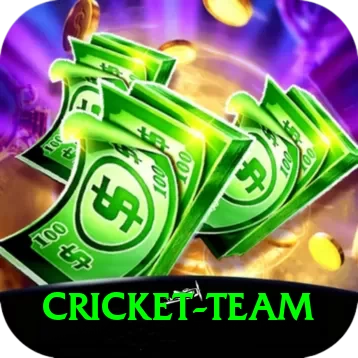 cricket team Pro Edition v5.2.9 - 2