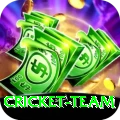 cricket team Pro Edition v5.2.9