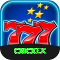 crickex Pro v2.4.6