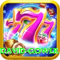 david gower Elite Pro v2.6.0