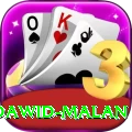 dawid malan VIP v2.2.3