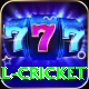 defending total cricket Deluxe Edition v2.6.6