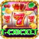 early payout cricket Plus