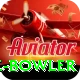economy rate bowler Pro