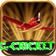 expected goals x g cricket Deluxe v5.2.1