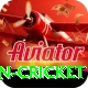 fastest ball in cricket Pro Max v3.6.6