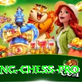 flying chess - Live Elite