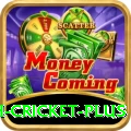 india bangladesh cricket Premium PK v1.5.2