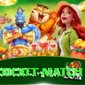 india cricket match Max v2.6.0