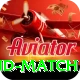 india new zealand match Gold Pro v1.6.1