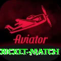 india newzealand cricket match Pro v1.4.2