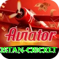 india pakistan cricket Turbo v3.1.8