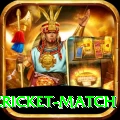 india pakistan cricket match Gold Pro v1.0.8