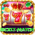 international cricket match Pro Edition v4.5.1