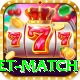 international cricket match Pro Edition v4.5.1