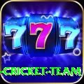 ireland cricket team Master Pro v1.4.1