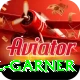 joel garner Deluxe v1.3.9