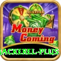 king mackerel Jackpot Gold v5.2.8