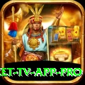 live cricket tv app Pakistan Legend v1.1.9