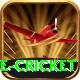 mobile cricket Plus v3.3.7