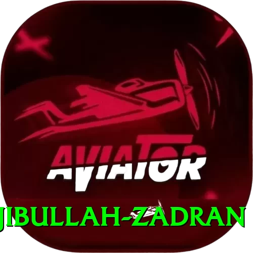 najibullah zadran Max v2.6.4 - 2