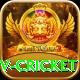 ndtv cricket Pro1 v5.3.8