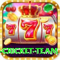 new zealand cricket team Games (Casino & Earning) Max v1.0.3