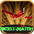 next cricket match Deluxe v3.7.9
