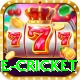 one cricket Gold Edition v2.6.6