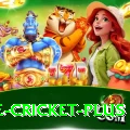 one cricket - Slots Pro