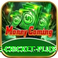 online cricket App King v3.3.0