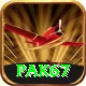 Pak67 Apps (Tools & Injectors) Gold vv2.5.6