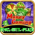 Pakistan Betting Site - Gaming VIP