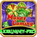pakrummy Casino Champion v5.4.0