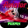 pkspin VIP vv4.5.8